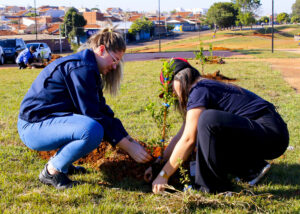 No Dia Mundial do Meio Ambiente, Santa Bárbara realiza plantio de 100 árvores